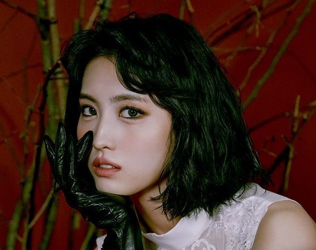 TWICE モモ(트와이스 모모)Part1：ナムウィキ翻訳: KPOP Girls Lover